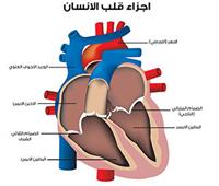 امراض القلب