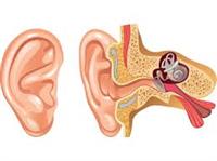 ‏أمراض الأذن الداخلية الشائعة