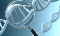 دراسة تكشف ارتباط الطفرات الجينية بسرطان المبيض