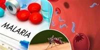 الوقاية من الملاريا: أبرز المعلومات. 