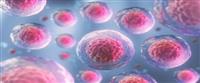  زراعة الخلايا الجذعية 