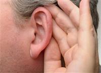 ما هي المادة التي تفرزها الأذن