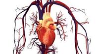 الطب النووي  - وتشخيص أمراض القلب والأوعية الدموية