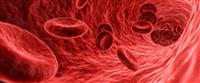  فقر الدم الوراثي: أنواع مختلفة 
