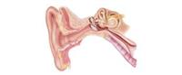  علاج التهاب الأذن الوسطى 
